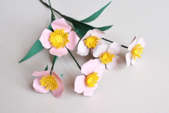 Wildflower Papercraft: 3D SVG Paper Flowers Review